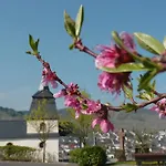 Гостевой дом Gaestehaus & Weingut Cluesserath-weiler 4*