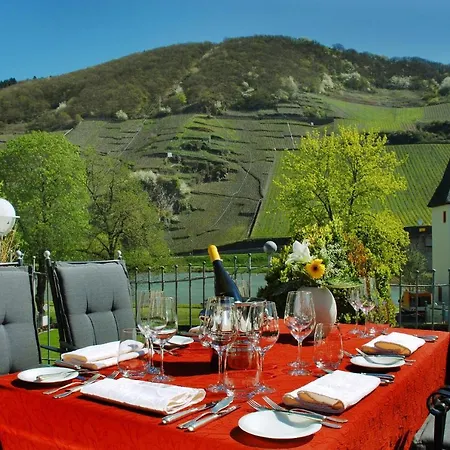 Gaestehaus & Weingut Cluesserath-weiler Penzion