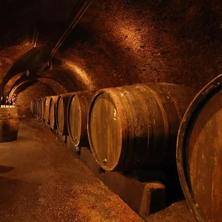 Gaestehaus & Weingut Cluesserath-weiler Trittenheim