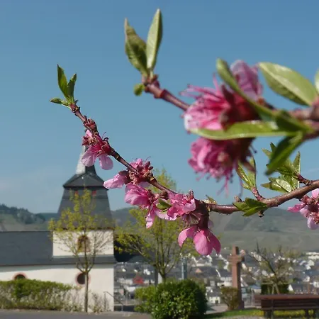 בית הארחה Gaestehaus & Weingut Cluesserath-weiler 4*