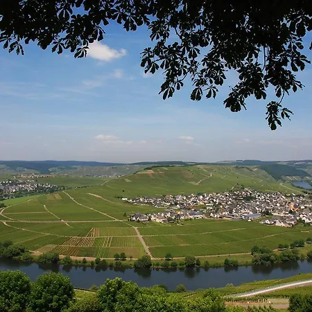 Gaestehaus & Weingut Cluesserath-weiler Casa de hóspedes 4*