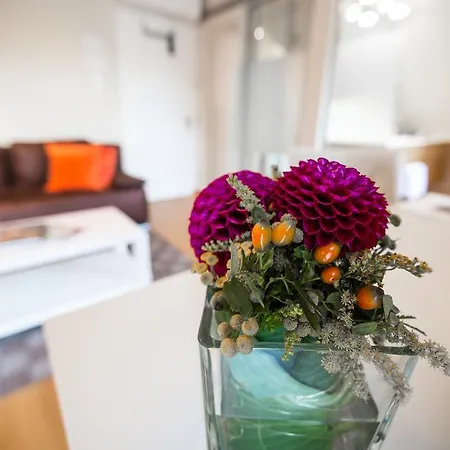 Gaestehaus & Weingut Cluesserath-weiler