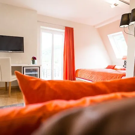 Gästehaus&weingut Clüsserath-weiler 4*