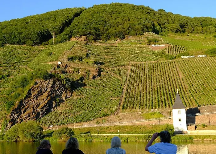 Gaestehaus & Weingut Cluesserath-weiler 4* Trittenheim