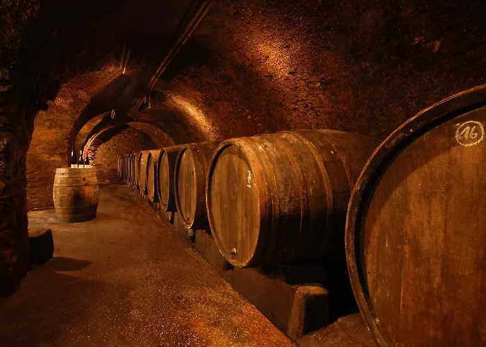 Gaestehaus & Weingut Cluesserath-weiler Trittenheim