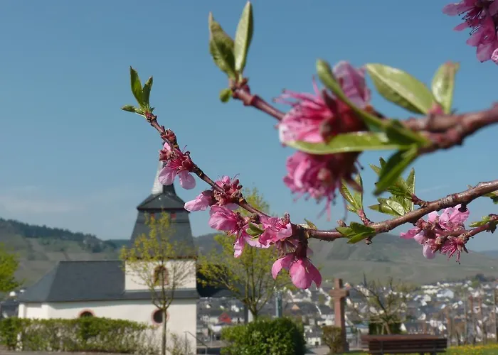 Casa de hóspedes Gaestehaus & Weingut Cluesserath-weiler 4*