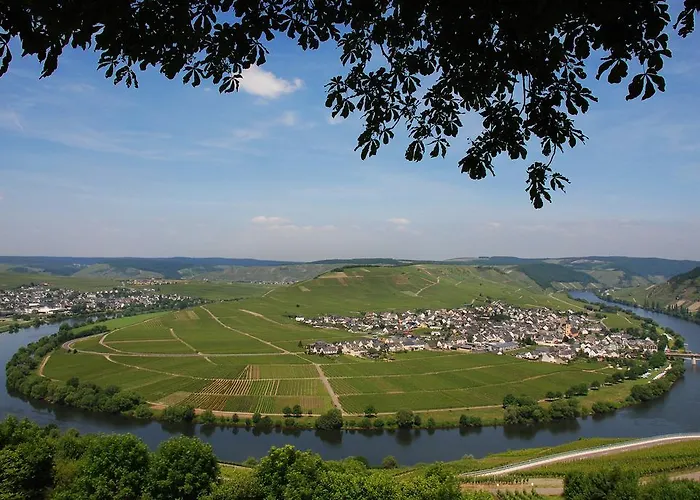 Gaestehaus & Weingut Cluesserath-weiler Casa de hóspedes 4*